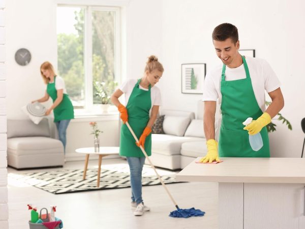 professional-house-cleaning-services professional-house-cleaning-services